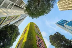 principi della sostenibilit&agrave; ing. carmelo dellisanti